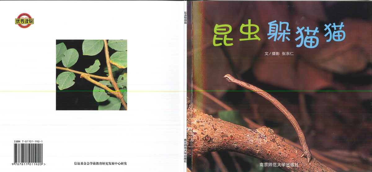 昆虫躲猫猫 (01),绘本,绘本故事,绘本阅读,故事书,童书,图画书,课外阅读